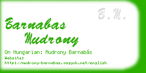 barnabas mudrony business card